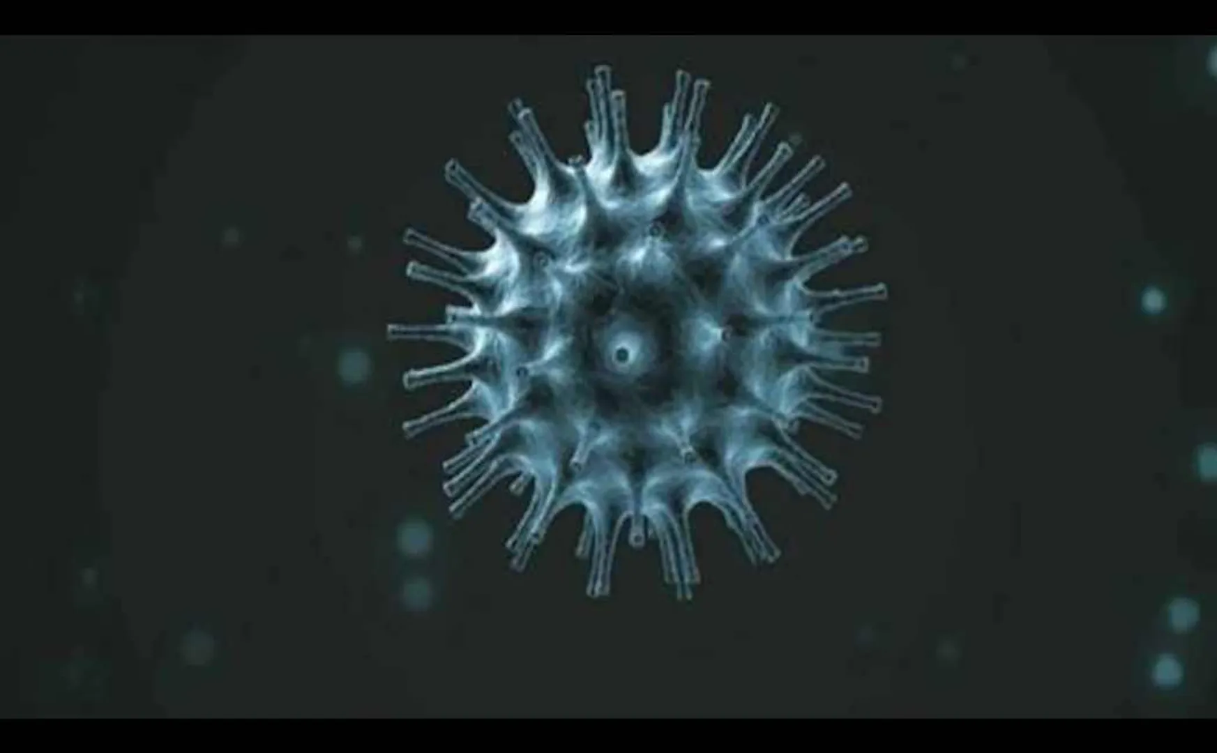 sssss